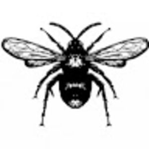 Meet your Posher, Beverly